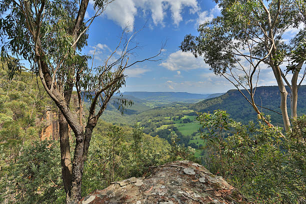 istock lookout into the valley 537832722