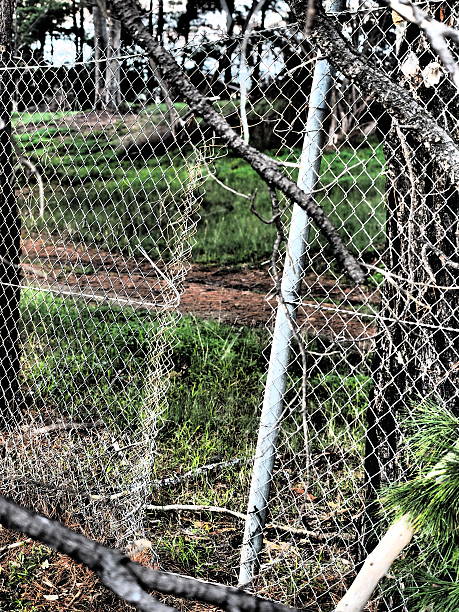 istock Illegal fence opening of security fence in dramatic colors 537832838