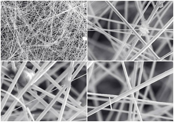 collage scientifique. photo cristal de microscope électronique - crystallization photos et images de collection