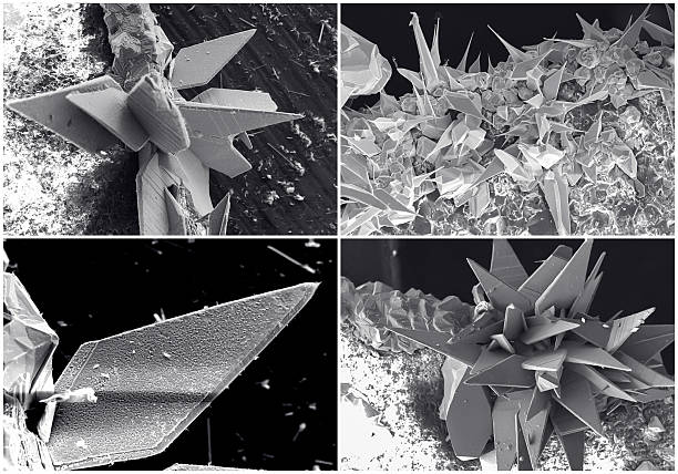 collage de científicos. cristal fotografías hechas con microscopio de electrones - crystallography fotografías e imágenes de stock