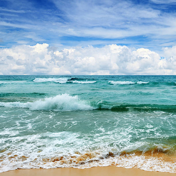 istock beautiful waves in the sea 537833888