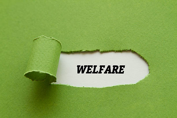istock WELFARE word written under torn paper. 537834924
