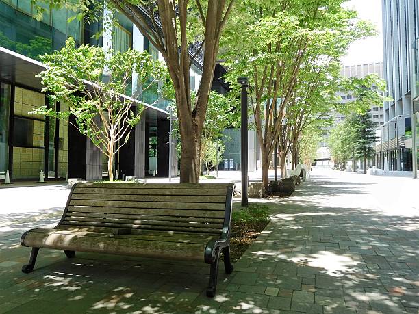 istock The benches on the avenue between office buildings 537835064