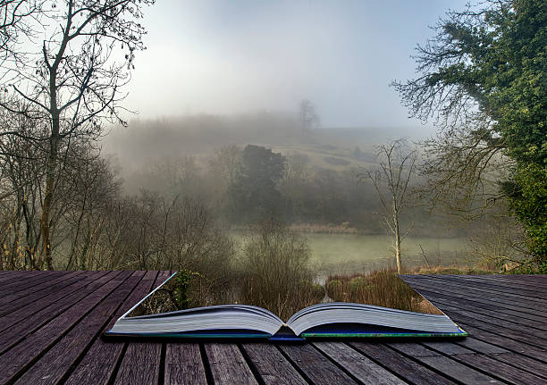 istock Moody dramatic foggy forest landscape Spring Autumn Fall 537837216