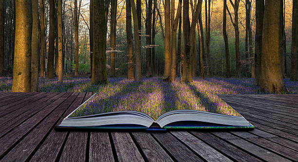 istock Stunning landscape of bluebell forest in Spring in English count 537838708