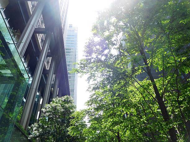 istock The valley between tall buildings in summer 537839358