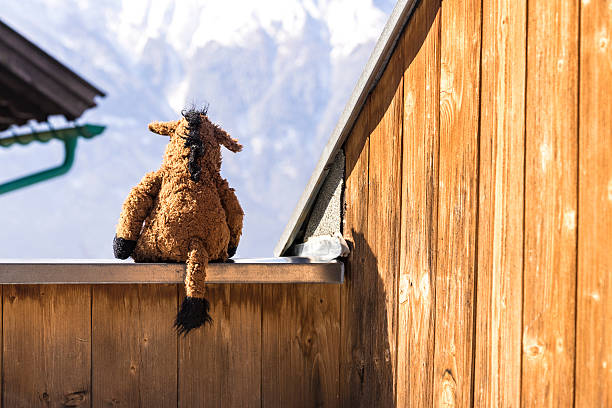 istock Back of cute plush toy facing mountains 537839462