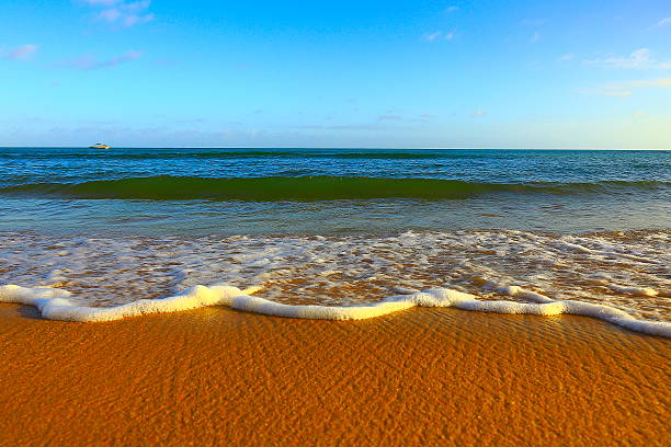 Tropical paradise:  Praia do Forte beach waves at sunset, Bahia, Brazil
