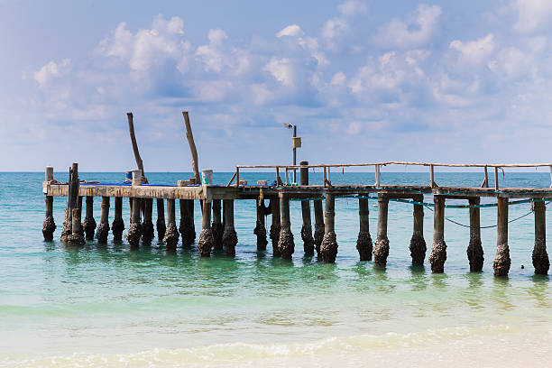 istock Fishing pier over natural beach skyline 537845088