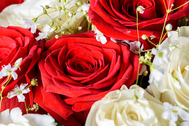istock Red And White Roses Wedding Bouquet 537847442