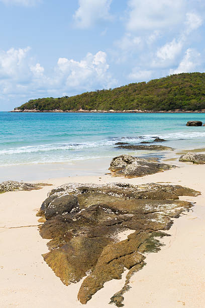 istock Rocky over the beach with mountain background 537847724