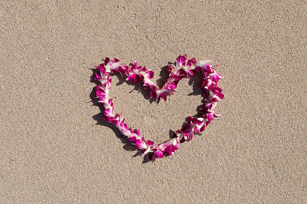 istock heart shaped orchid flower garland white sand beach 537847940