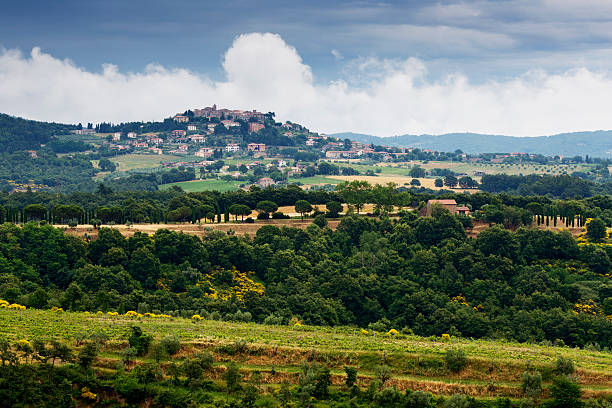 istock Summer Italian country  Landscape 537849748
