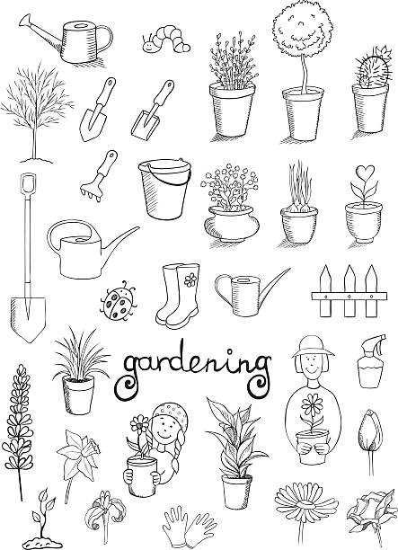illustrations, cliparts, dessins animés et icônes de vector collection d'icônes de jardinage - chamomile plant