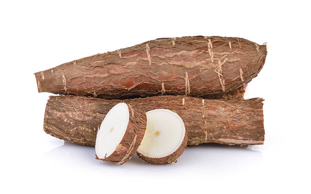 Cassava isolated on a white background Cassava isolated on a white background mandioca stock pictures, royalty-free photos & images