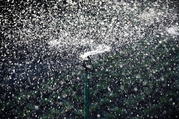 istock abstract of silhouette water sprinkler 537851451