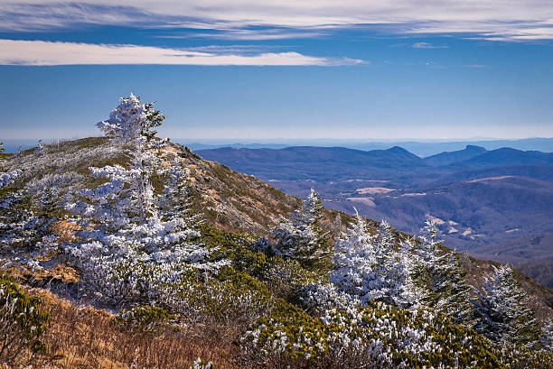 istock Roan Mountain Winter Hike 7 537856139