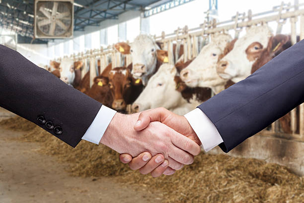 bắt tay gia súc - chính sách chính phủ và hỗ trợ người chăn nuôi hình ảnh sẵn có, bức ảnh & hình ảnh trả phí bản quyền một lần