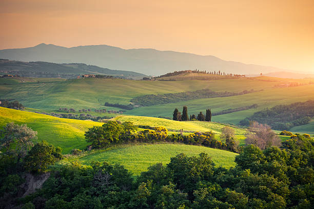 paysage de la toscane vallonnées - tuscany landscape italy siena photos et images de collection