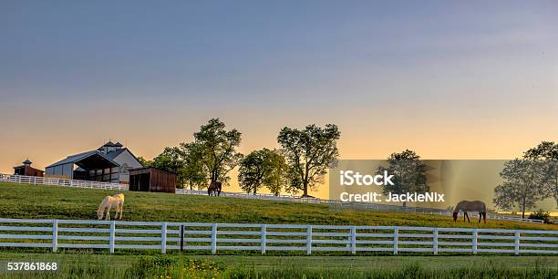 Kentucky Farm At Sunrise Stock Photo - Download Image Now - Horse, Kentucky, Farm
