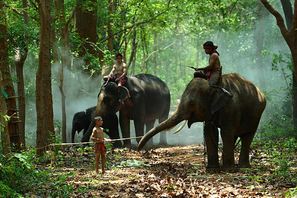 istock Children with Elephants and Mahout 537862274