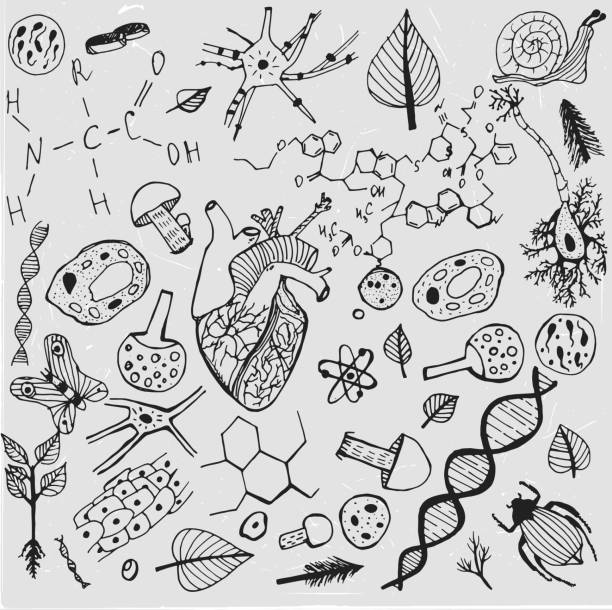 ilustrações, clipart, desenhos animados e ícones de biológicas vetor fundo - dna science high scale magnification magnification