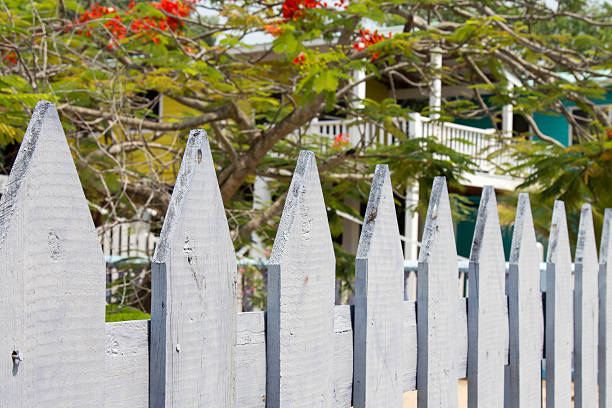 istock White picket fence with homes behind in Belize 537864102