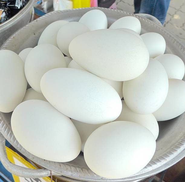 istock The close view of goose eggs 537864652