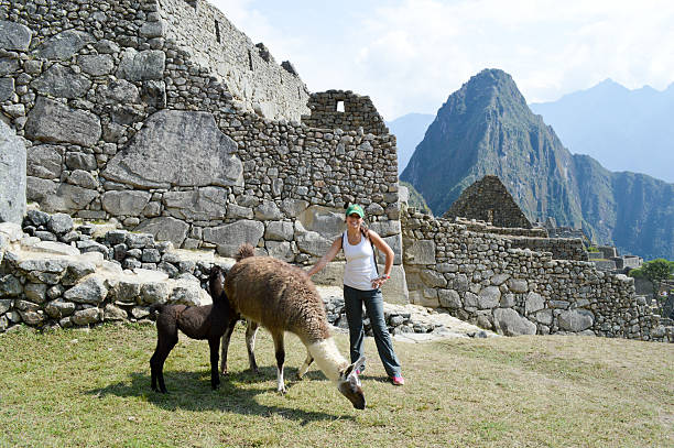 Machu Picchu, Cusco, Peru - Mar 15, 2017: One of the seven wonders of the world, Machu Picchu is an Inca citadel in the Andes Mountains of Peru, above the Urubamba River valley