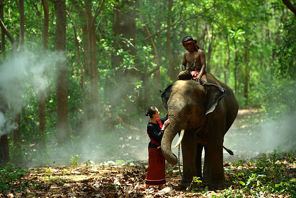 istock Elephant with asian girl 537866570