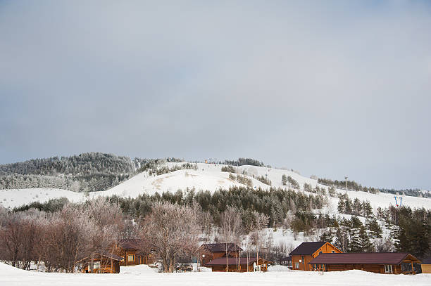 istock Wooden house in winter 537867370