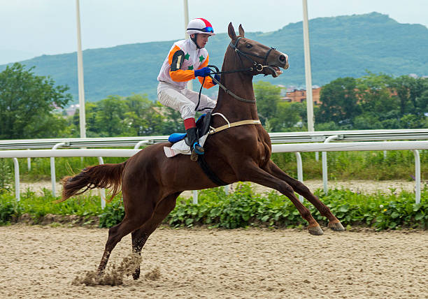 istock Horse racing in Pyatigorsk. 537868622