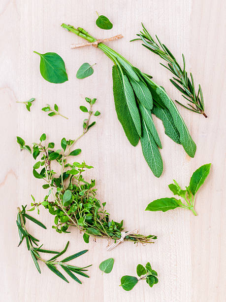 istock Various fresh herbs from the garden holy basil , basil ,rosemary 537870220