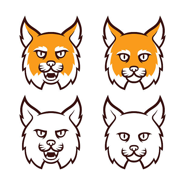 illustrations, cliparts, dessins animés et icônes de wildcat tête icône - chat sauvage