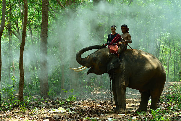 istock Elephant with asian girl 537872272
