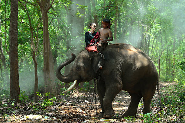 istock Elephant with asian girl 537872354