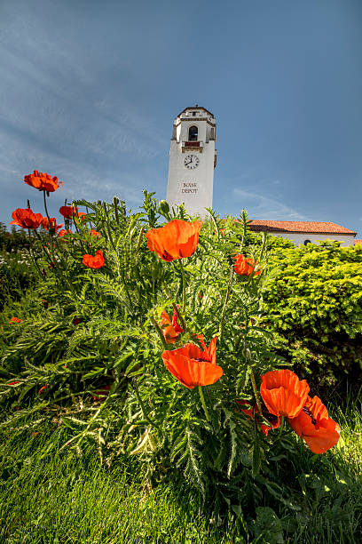 istock Train depot clock tower and orange poppies 537874526
