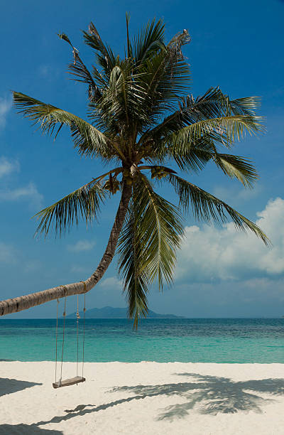 landscape of little tropical island, white beach with nice swing landscape of tropical island with a beautiful white beach and perfect sky rawa island stock pictures, royalty-free photos & images