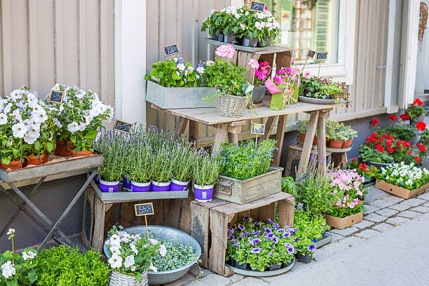 istock Street flower shop 537877968