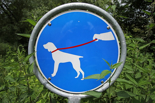 A sign explaining that dogs must be leashed; a sign from Switzerland.