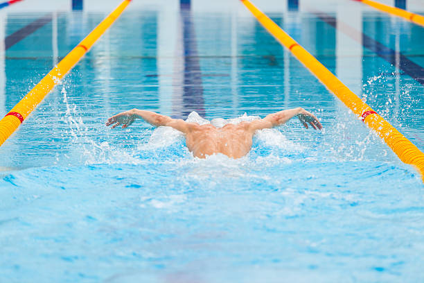 istock dynamic and fit swimmer in cap breathing performing the butterfly 537879090