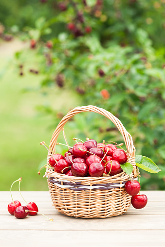 Cherries in a basket on  wood table  and green background