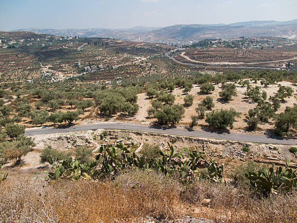 istock Sebastian, ancient Israel, ruins and excavations 537881098
