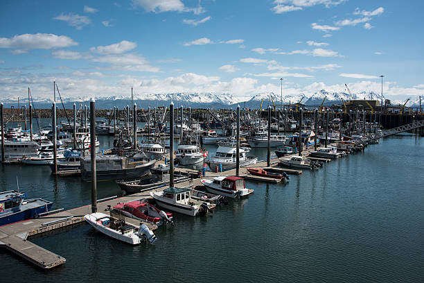 istock Boat Harbor and Port in Homer, Alaska 537882800