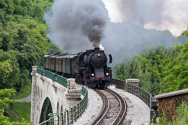 Old steam train crossing the Solkan bridge Old steam train crossing the Solkan bridge in Nova Gorica, Slovenia, Europe. Lots of black and gray steam hiding the locomotive, full frame, XXXL. nova gorica stock pictures, royalty-free photos & images