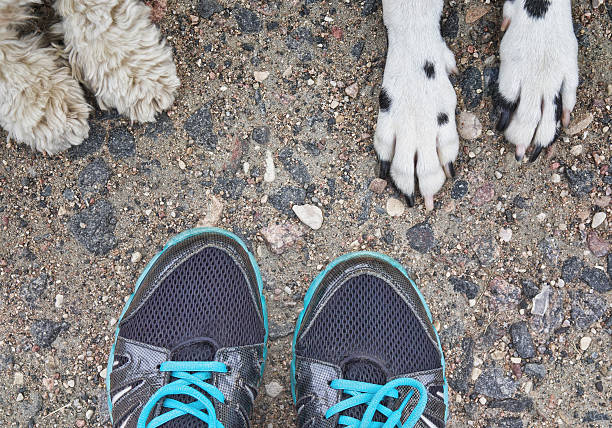 dog's paw feet next to the owner -- friendship