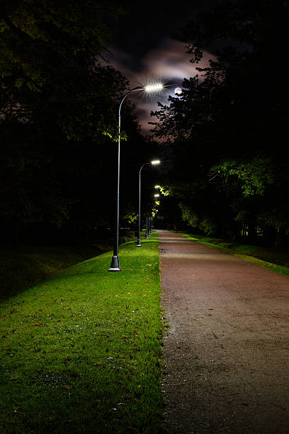istock Walkway lane path at night, moonlit park alley. 537888166