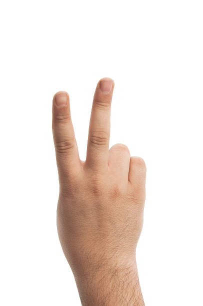 istock Number Two, Sign Of Victory 537889208