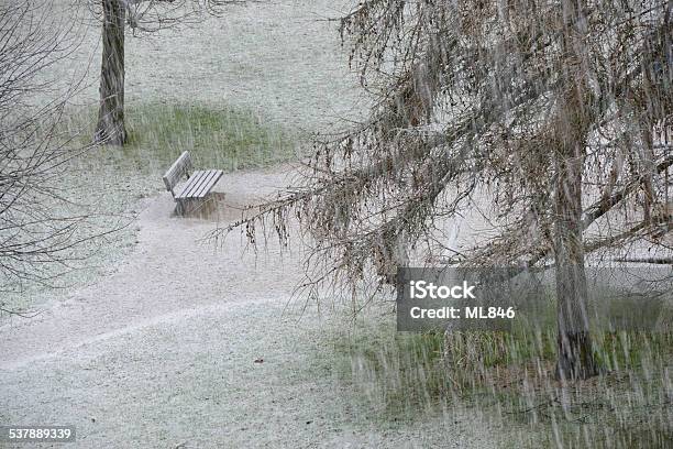 Snow In The Public Garden Stock Photo - Download Image Now - 2015, Bench, Climate