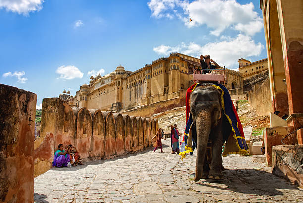 Amer, India 16 February 2024 Men riding elephants at historic Fort Amer )or Amber) in Rajasthan